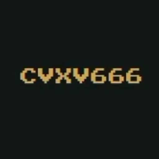 CVXV666 Capital meme coin artwork