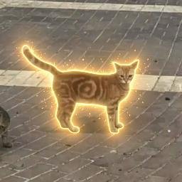 S◎L Cat meme coin artwork