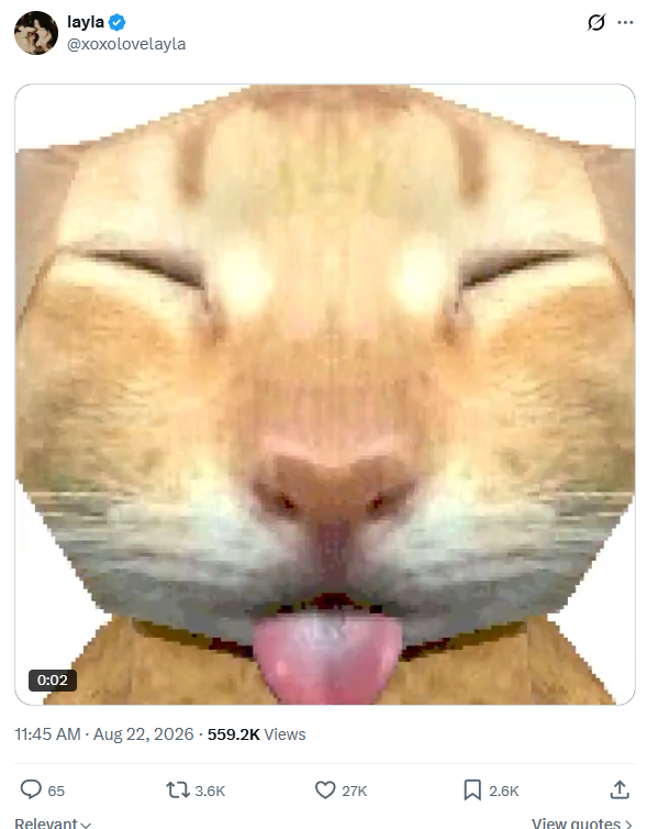 Polycat meme coin artwork