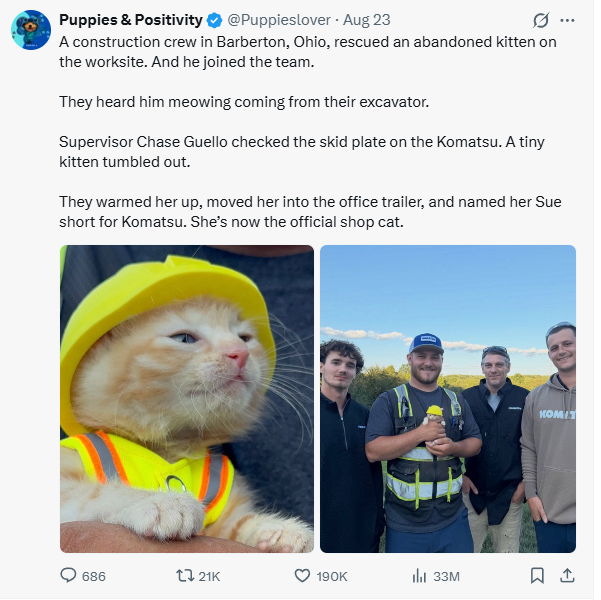 The rescue story as it spread on X