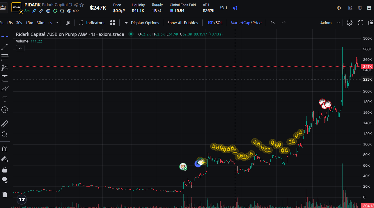 The RIDARK chart showing the advance to a $262,000 all-time high