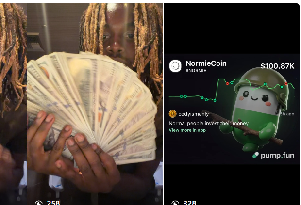 NormieCoin on pump.fun
