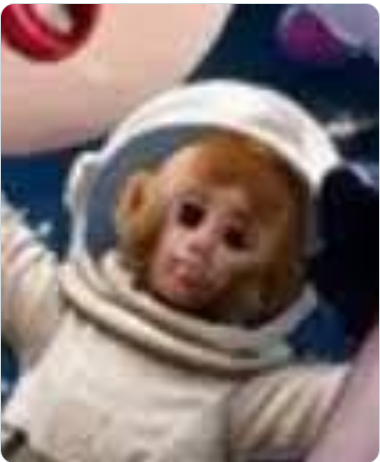MOONKEY meme coin artwork