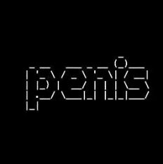 Peniscoin meme coin artwork