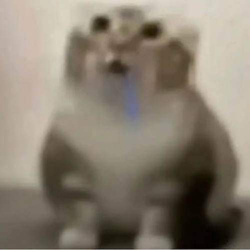 drooling cat meme coin artwork