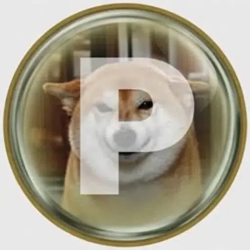 Ponsan meme coin artwork