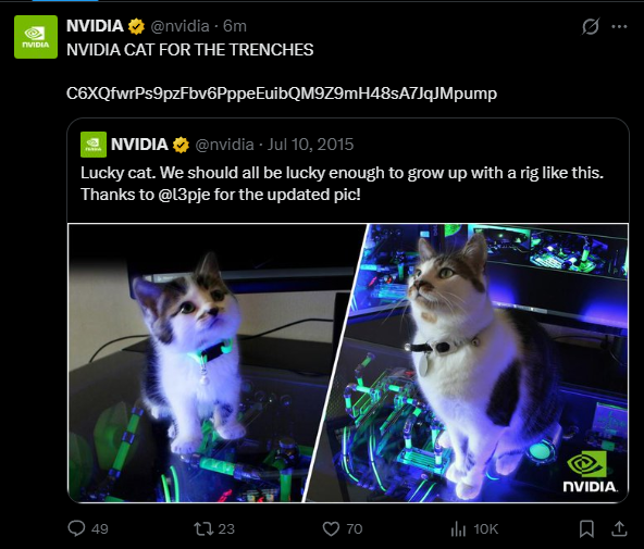 NVIDIA CAT meme coin artwork